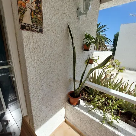 Buenas Flores Tenerife Costa Del Silencio